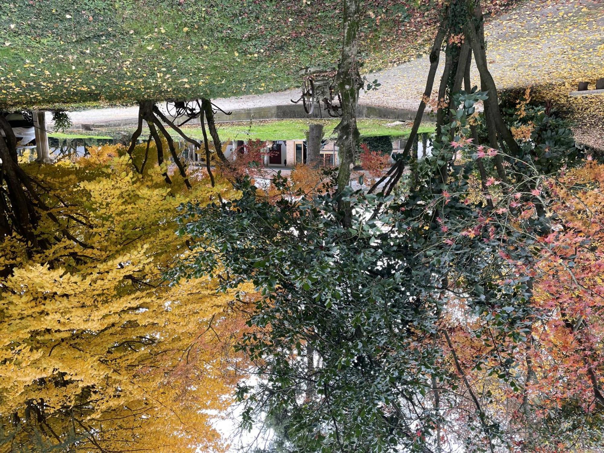 Padova Villetta Con Ampio Parco Privato Campodarsego Dış mekan fotoğraf